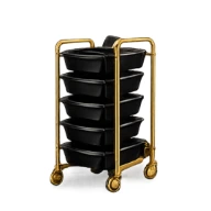 Chariot et déserte de coiffure professionnelle avec rangements et tiroirs