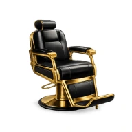Fauteuil de barbier professionnel inclinable et personnalisable