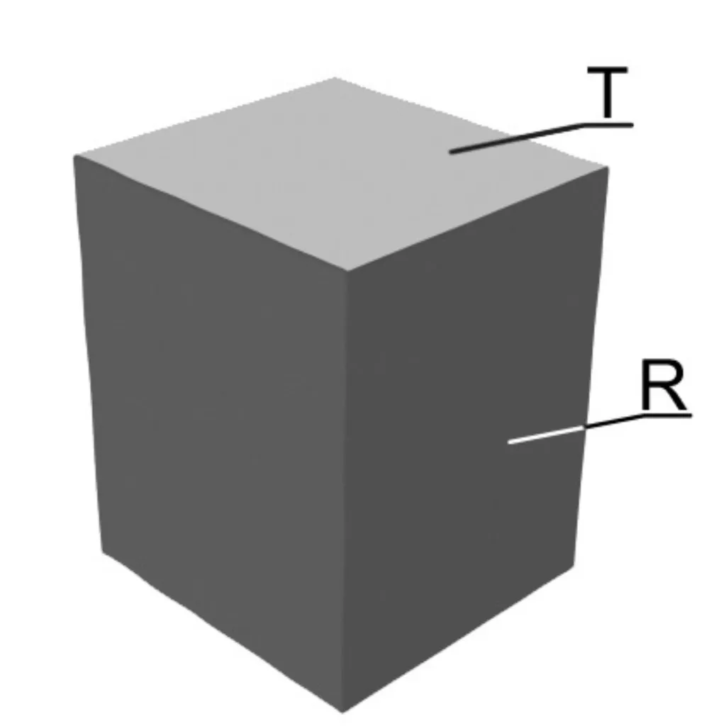 LEO (3).webp