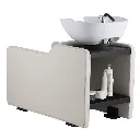 TARO (2).webp